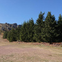 Stara planina (6)